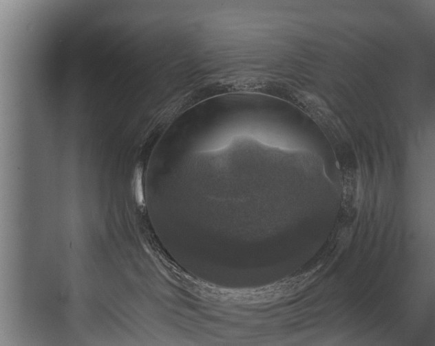 X0000076310046200610061341