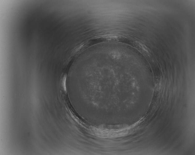 X0000076310047200610061341