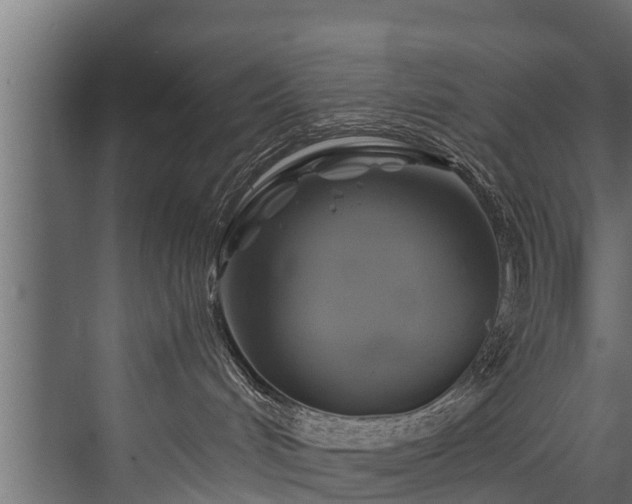 X0000076310048200610061341