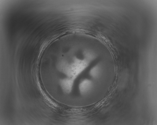 X0000076310049200610061340