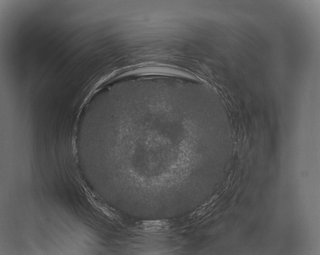 X0000076310050200610061340