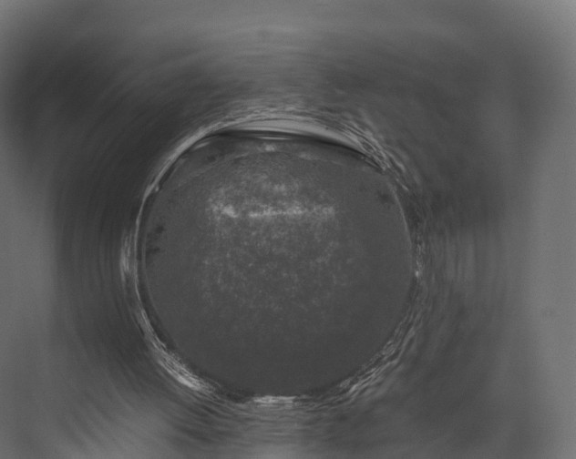 X0000076310052200610061340