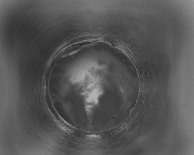 X0000076310053200610061341