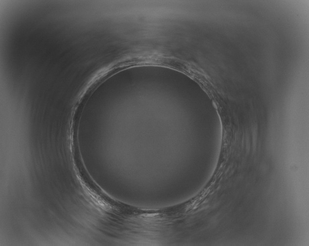 X0000076310054200610061341