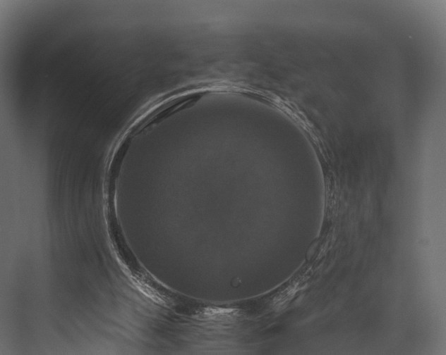 X0000076310055200610061341