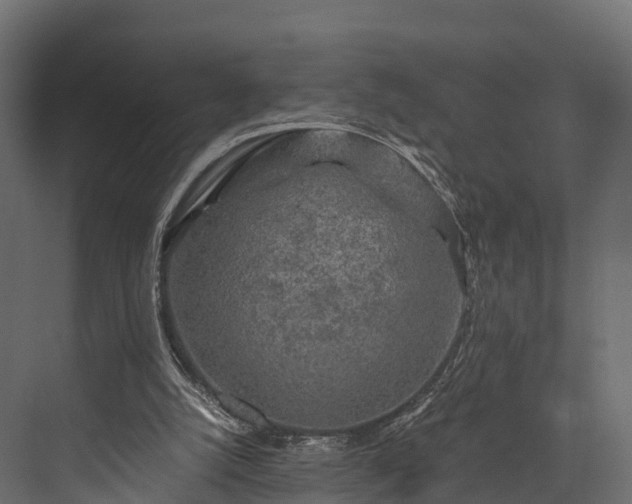 X0000076310056200610061341