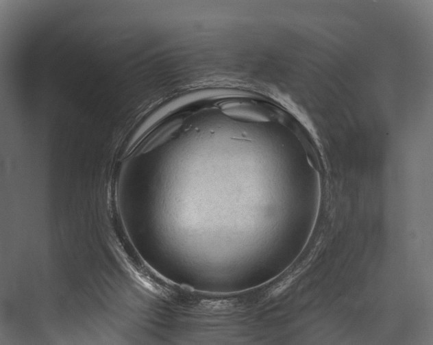 X0000076310057200610061341