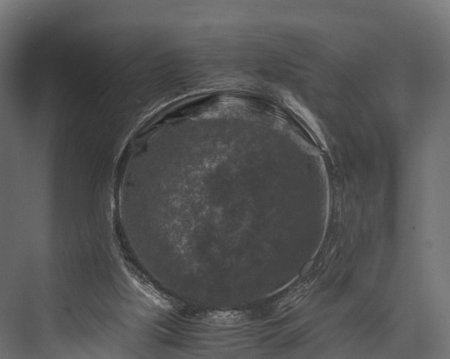 X0000076310059200610061341