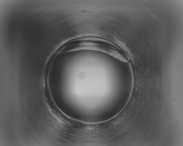 X0000076310060200610061341