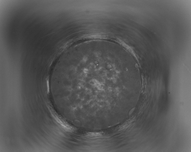 X0000076310061200610061341