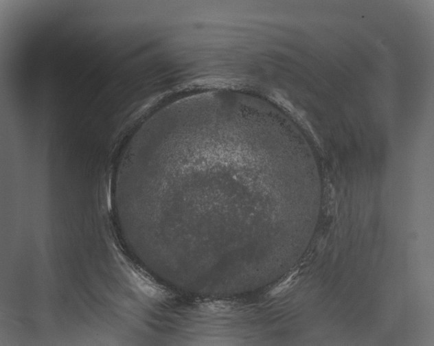 X0000076310062200610061341