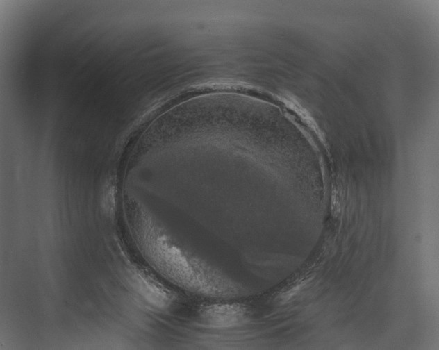 X0000076310063200610061341