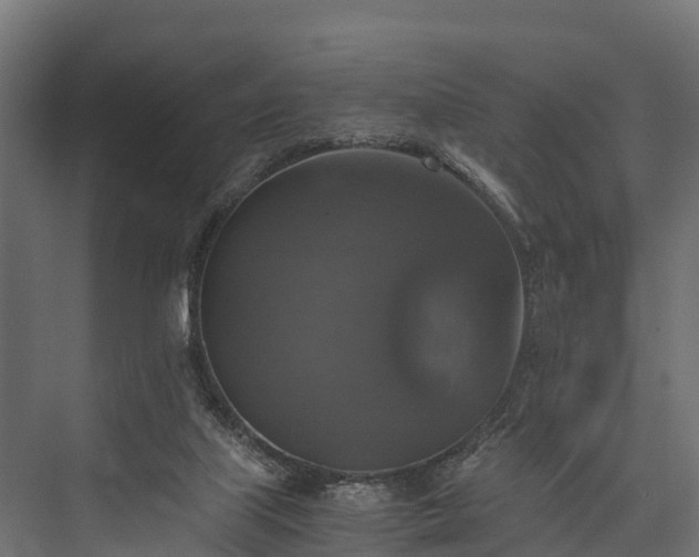 X0000076310067200610061341