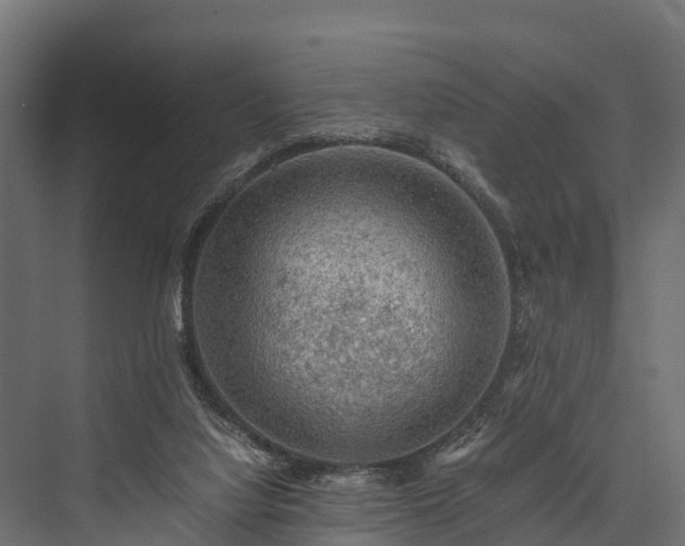 X0000076310068200610061341