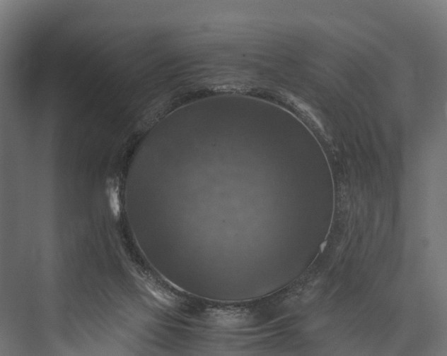 X0000076310069200610061341