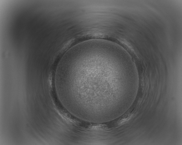 X0000076310072200610061341