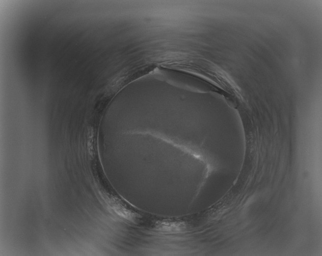 X0000076310073200610061341