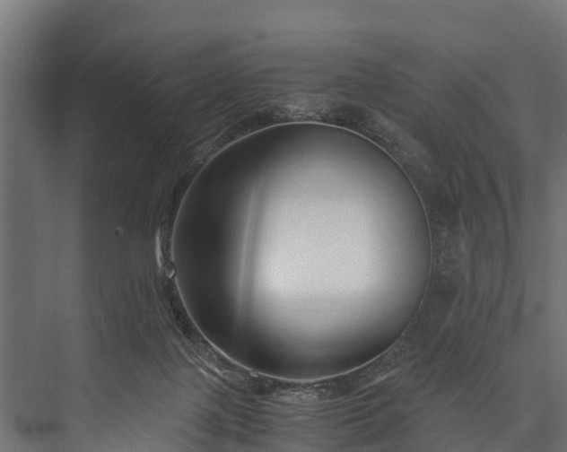 X0000076310075200610061341