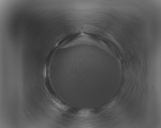 X0000076310076200610061341