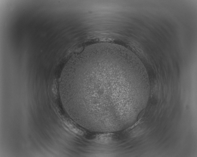 X0000076310078200610061341