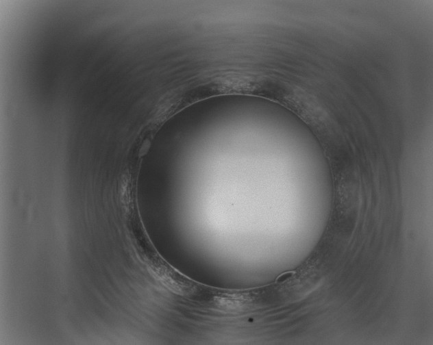 X0000076310079200610061341