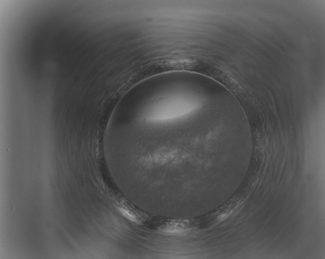 X0000076310080200610061341