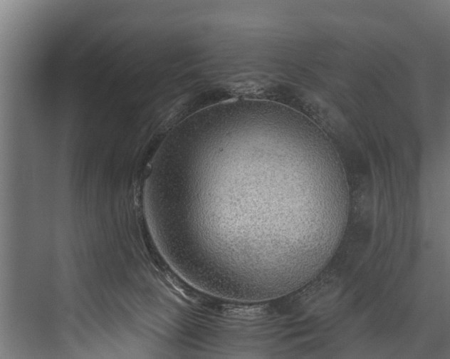 X0000076310081200610061341