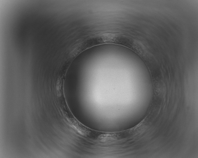 X0000076310082200610061341