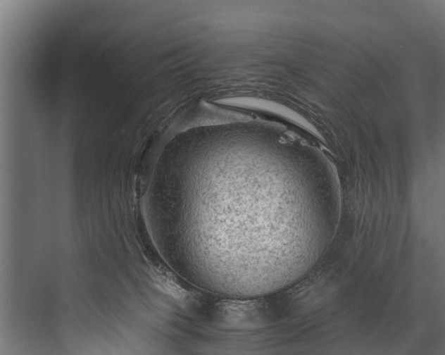 X0000076310085200610061341