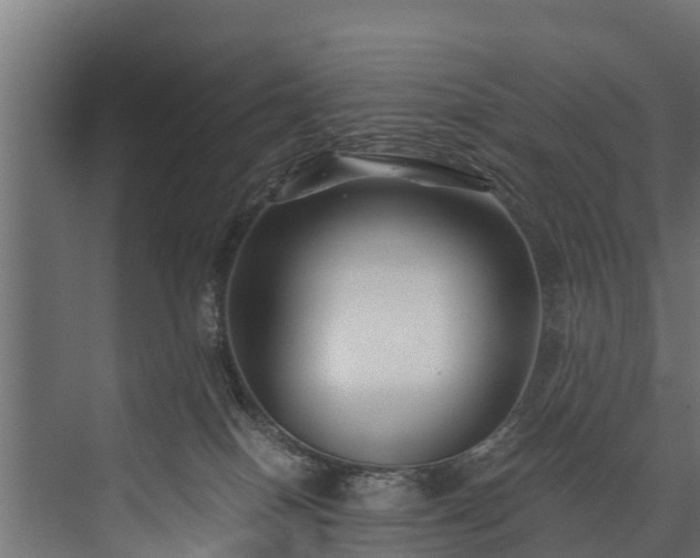 X0000076310086200610061341