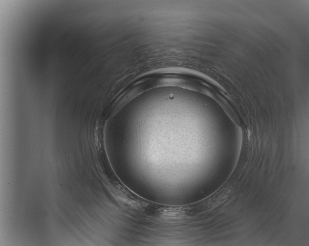 X0000076310088200610061341