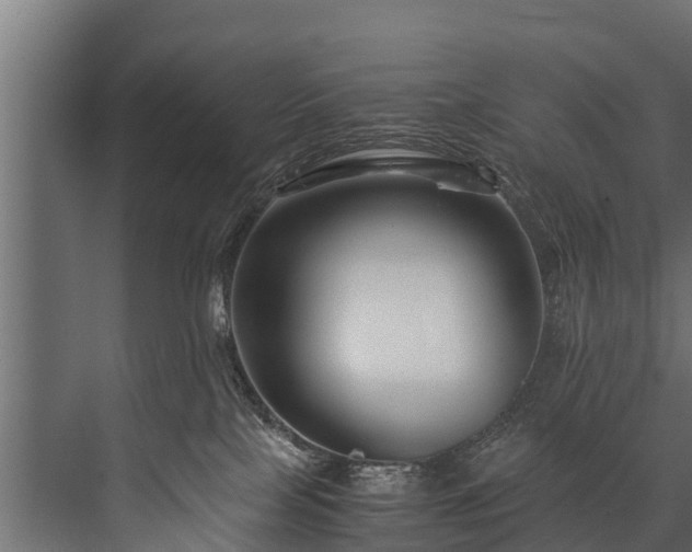 X0000076310089200610061341