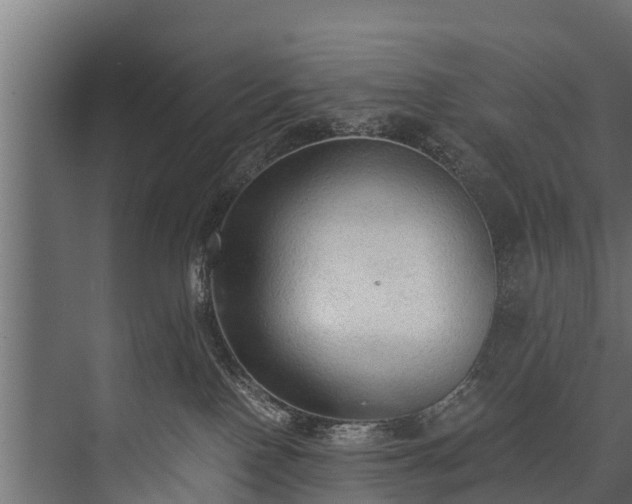 X0000076310090200610061341