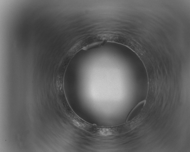 X0000076310091200610061341