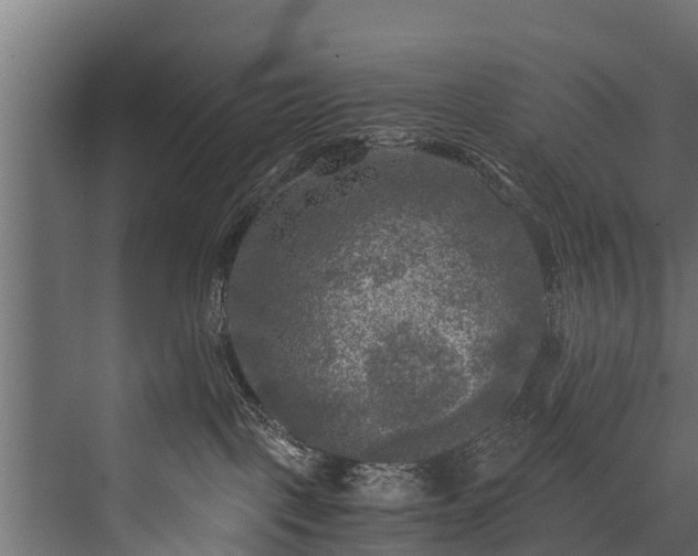 X0000076310093200610061341