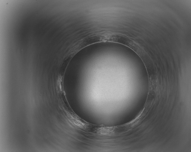 X0000076310094200610061341