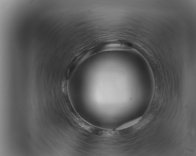 X0000076310096200610061341