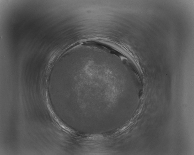 X0000076310097200610061340