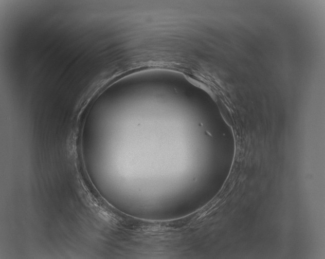 X0000076310098200610061340