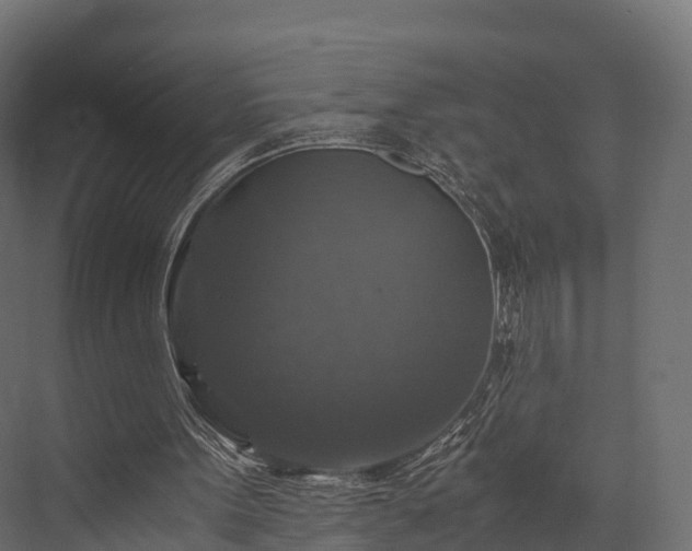 X0000076310099200610061340