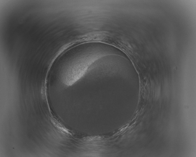 X0000076310100200610061340