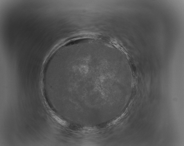 X0000076310101200610061340