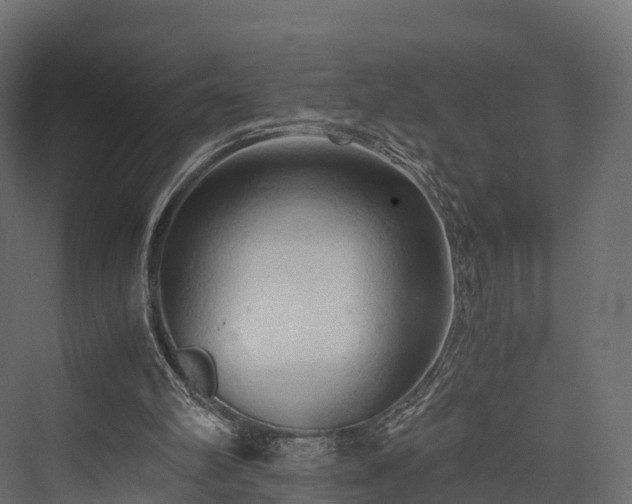 X0000076310102200610061340