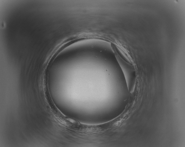 X0000076310103200610061340