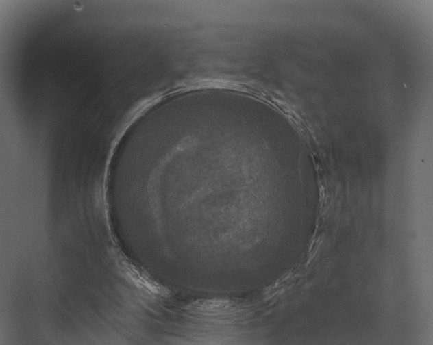 X0000076310104200610061340