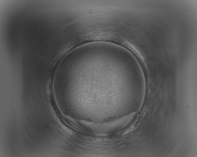 X0000076310105200610061340