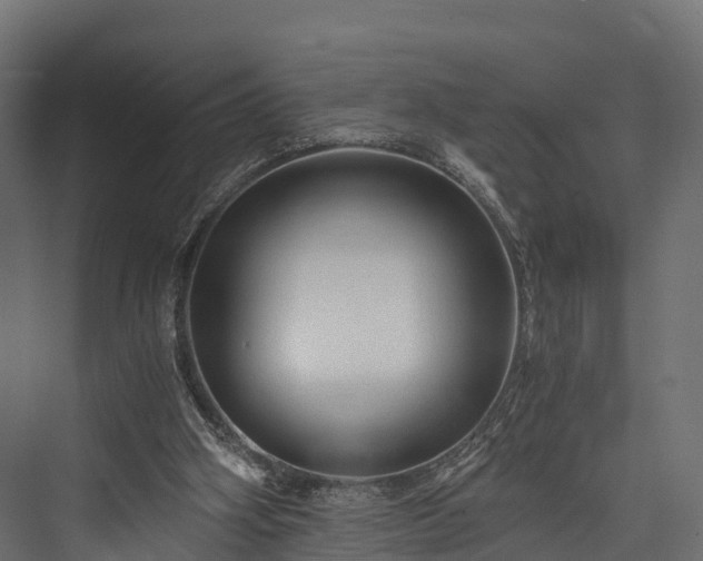 X0000076310106200610061340