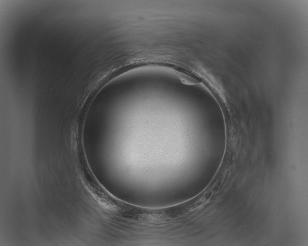 X0000076310107200610061340