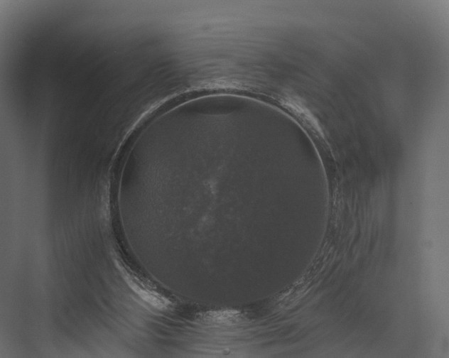 X0000076310108200610061340