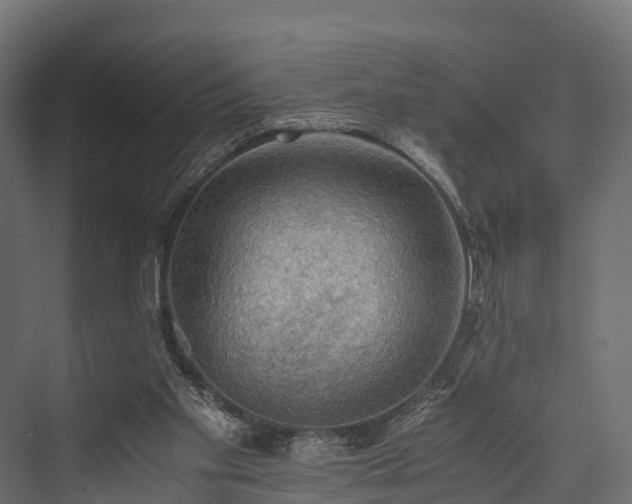 X0000076310109200610061340